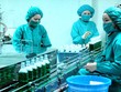 Dược phẩm Pharmedic (PMC) chốt quyền chia 99Kl.app mobile mới nhất 80% bằng tiền