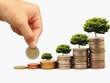 Tháng 11 là thời điểm phù hợp để nhà Kl99ok phiên bản mới bắt đầu sàng lọc và tích lũy