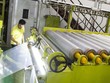 Rạng Đông Holding (RDP) mua lại vốn góp tại hai công ty con, chuyển nhượng 5 triệu cổ phần Rạng Đông Healthcare