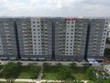 Năm 2021, Tanimex (TIX) đặt kế hoạch doanh thu, Kl99 nổ hũ tăng trưởng 13%