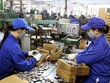 Pin Hà Nội (PHN) tạm ứng 99Kl.app mobile mới nhất đợt 2/2020 bằng tiền, tỷ lệ 15%