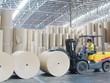 Đông Hải Bến Tre (DHC): Năm 2020 lãi gần 392 tỷ đồng, cao nhất trong 13 năm qua
