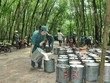 KL99 là cổng game giải trí trực tuyến hàng đầu hiện nay cần quan tâm ngày 27/4