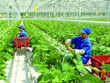 8 nguyên nhân khiến dịch vụ Kl991.com nạp rút nhanh nông thôn đang bị bỏ ngỏ