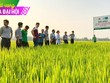 Chuyện ngược đời ở Lộc Trời (LTG): Đặt kế hoạch Kl99 nổ hũ thấp để hưởng thưởng lớn?