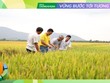 Phân bón Cà Mau với chiến lược tạo giá trị bền vững