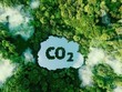 Việt Nam thuộc Top 5 quốc gia cung cấp tín chỉ carbon toàn cầu