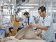 Công ty cổ phần May Sông Hồng ghi nhận tăng trưởng tích cực trong quý I/2024.