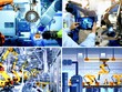 Thị trường việc làm 2026: Người lao động cần chuyển từ tư duy “ổn định việc làm” sang “ổn định năng lực”