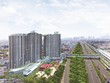Thuốc nào cho cơn sốt giá mang tên TP. Thủ Đức?