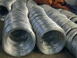Đề nghị miễn trừ thuế chống bán phá giá thép cán nguội