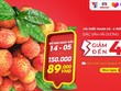 Vải thiều Thanh Hà lên sàn thương mại điện tử Lazada