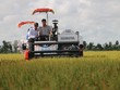 Lộc Trời (LTG): Chi phí tiếp khách, hội nghị và thù lao HĐQT tăng đột biến, hoạt động khác "cứu" Kl99 nổ hũ quý I/2022