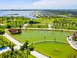 “Thảo nguyên xanh” gõ cửa mùa xuân