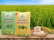 Phân bón miền Nam (SFG) dự kiến chi hơn 19 tỷ đồng trả 99Kl.app mobile mới nhất năm 2022