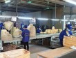 Kl991.com World Cup 2026 Chính Thức nhỏ và vừa vẫn khó khăn trong tiếp cận vốn