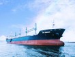 PDV vừa đón nhận tàu hàng rời PVT EMERALD có trọng tải 33.802 DWT.
