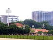 Xử lý nghiêm các tổ chức, cá nhân có liên quan đến vi phạm của Dự án 8B Lê Trực