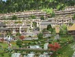 Đất Sapa tăng nóng, bây giờ mua có muộn? 