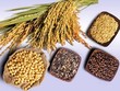 Thị trường hàng hóa tuần 29/4 -3/5: Diễn biến trái chiều