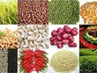 Nhà Kl99ok phiên bản mới hàng hóa: Sẵn sàng cho những cơ hội mới
