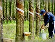 Thị trường hàng hóa tuần 6 - 10/5: Lại nóng căng thẳng Mỹ - Trung