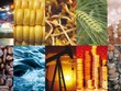 Thị trường hàng hóa tuần từ 16/12 – 20/12:  Thận trọng trước thềm 2020