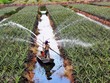 (Ảnh: Vietnamplus)
