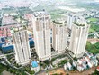 Hải Phát chuyển mình để thích nghi