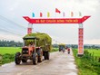 Ảnh Internet