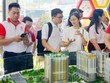 Môi giới Web Tổng Nhà Cái 99Kl99 Giải Trí Bậc Nhất kỳ vọng vào sự phục hồi sớm của thị trường
