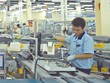 Kl999.com bắn cá đổi thưởng 11 tháng: Dấu ấn Nhật Bản và hiệu ứng APEC