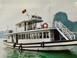 Tàu Hồng Long bị đình chỉ hoạt động 30 ngày.