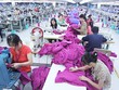 Lãnh đạo Bộ Lao động cho rằng mức đóng Kl99kl phiên bản hoạt động từ năm 2018 không tăng nhiều. Ảnh: Ngọc Thành