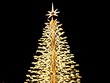 Đà Nẵng thắp sáng cây thông Noel cao nhất Việt Nam