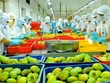 Xoay trục với mặt hàng chủ lực giúp ngành nông nghiệp thu về thành công lớn.