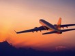 BAL dự kiến đội bay sử dụng là 3 chiếc vào năm 2019, 10 chiếc vào năm 2030