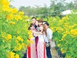 Đà Lạt là một trong những điểm hút khách dịp Tết. Ảnh minh hoạ: Vietffuntravel