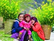Lên Tây Bắc ngắm hoa xuân nở khắp núi rừng
