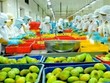 Ngành hàng rau quả tiếp tục đóng góp đáng kể vào tăng trưởng xuất khẩu của ngành nông nghiệp, với giá trị xuất khẩu trong tháng đầu tiên năm 2018 lên tới 320 triệu USD.