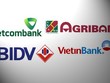 Link Vào Nhà Cái KL99 COM Tặng +199k Việt ở đâu trên trường quốc tế?