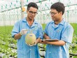 NSC đang là một trong những Kl991.com World Cup 2026 Chính Thức tốt nhất trên sàn 99Kl99 link đăng nhập Việt Nam.