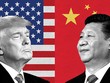 Tổng thống Mỹ Donald Trump (trái) và Chủ tịch Trung Quốc Tập Cận Bình. Ảnh: CNN.