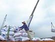 Ảnh chỉ mang tính minh họa. (Nguồn: TTXVN)
