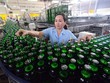 Kl994 nhà cái bóng đá world cup bia chai tại Tổng công ty Bia, rượu, nước giải khát Sài Gòn. Ảnh: SG