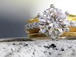 Ba chiếc nhẫn và 1 chiếc vòng đính kim cương trị giá 100.000 USD đã được tìm thấy trong 10 tấn rác sau nhiều giờ tìm kiếm. (Nguồn: CBS News)