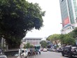 Hàng cây trên đường Trần Hưng Đạo cạnh ga Hà Nội sẽ được đánh chuyển, chặt hạ để làm nhà ga cuối cùng tuyến Metro Nhổn - Ga Hà Nội. Ảnh: Phương Sơn