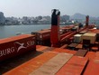 Chính sách bảo hộ mậu dịch của Mỹ đang tác động tiêu cực đến hoạt động thương mại của EU.