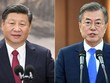 Tổng thống Hàn Quốc Moon Jae-in, phải, và Chủ tịch Trung Quốc Tập Cận Bình. Ảnh: China Plus.