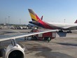 Cánh đuôi đứng bị gãy trên chiếc A321 (trái). Ảnh: Daily Sabah.